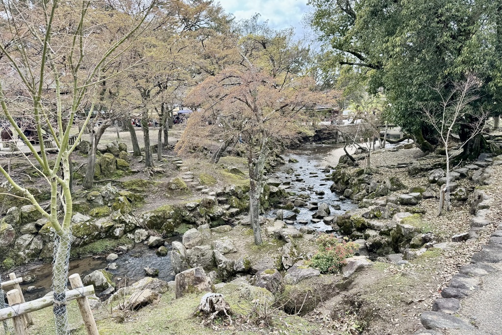 20240404奈良市13