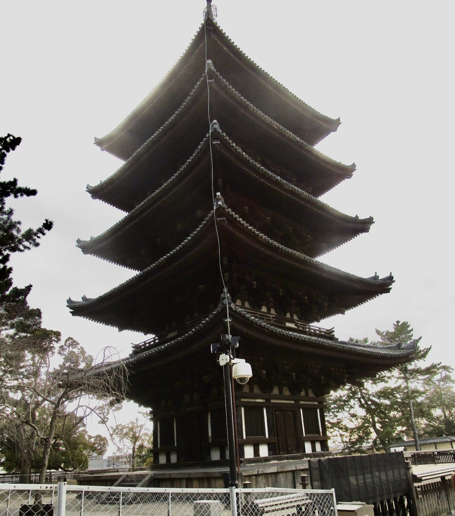 20190124奈良市06