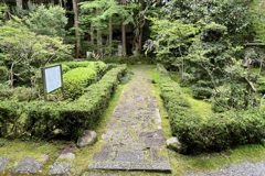 20240506彦根市20