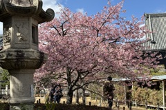 20240310右京区01