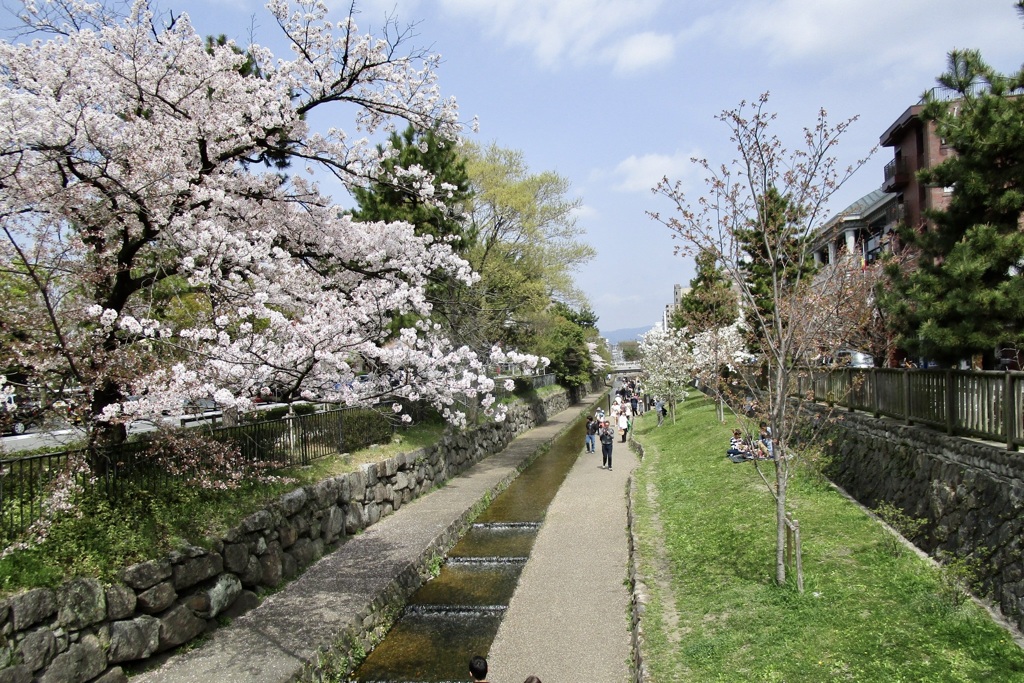 20180401中京区10