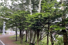 20230615根室市43