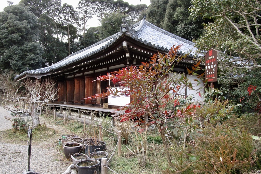 20190124木津川市10