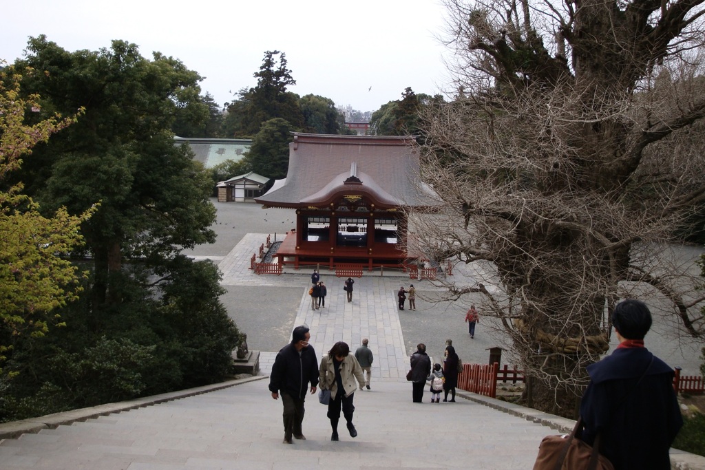 20090313鎌倉市22