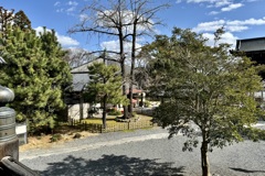 20240310右京区23