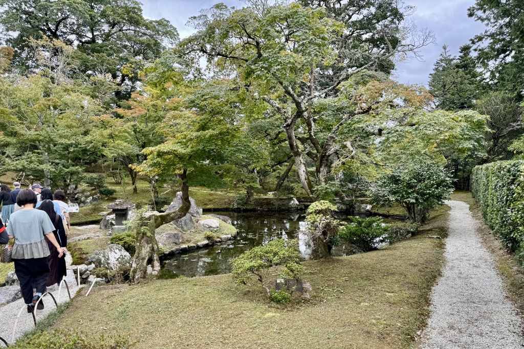 20241023左京区08