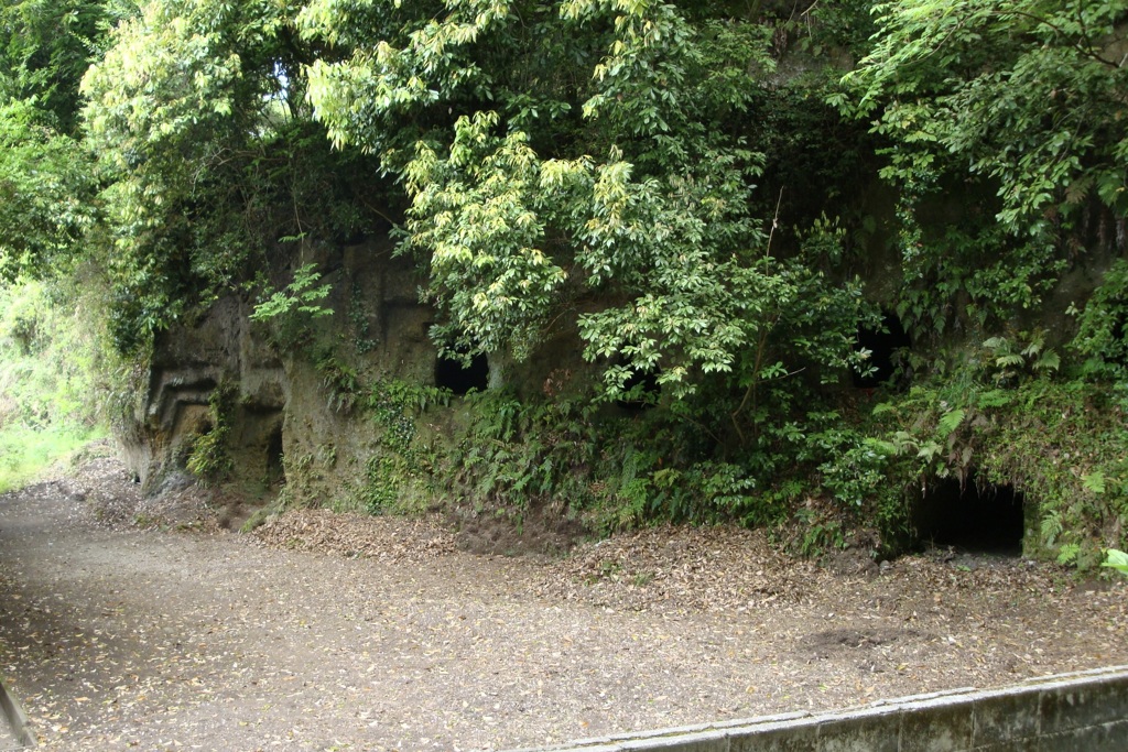 20090513日田市10