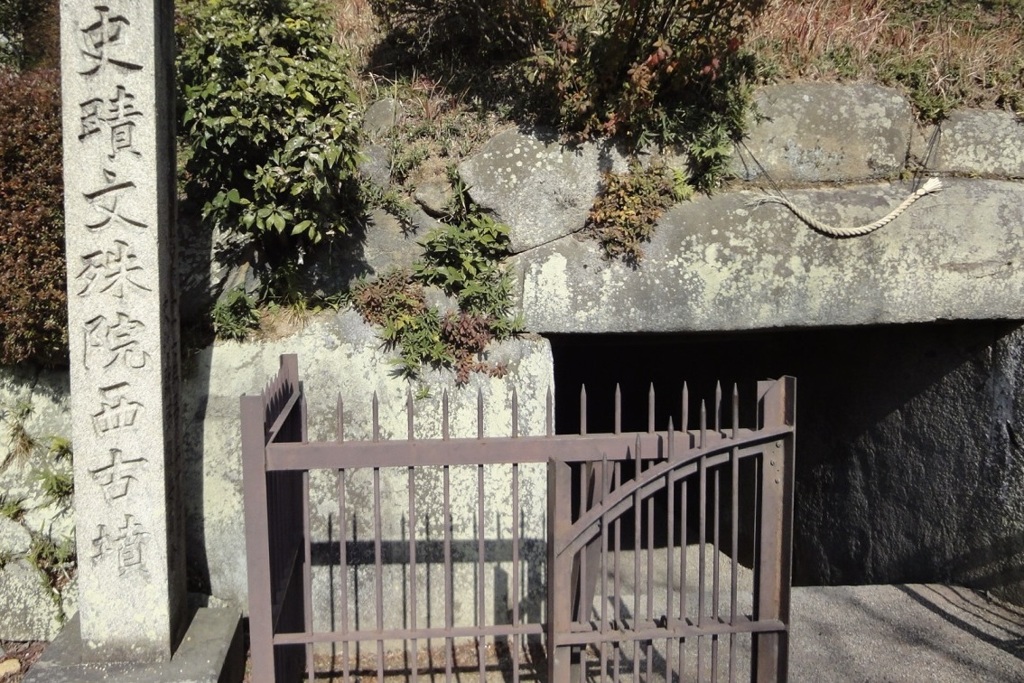 20100104桜井市04