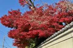 20241202松山市33