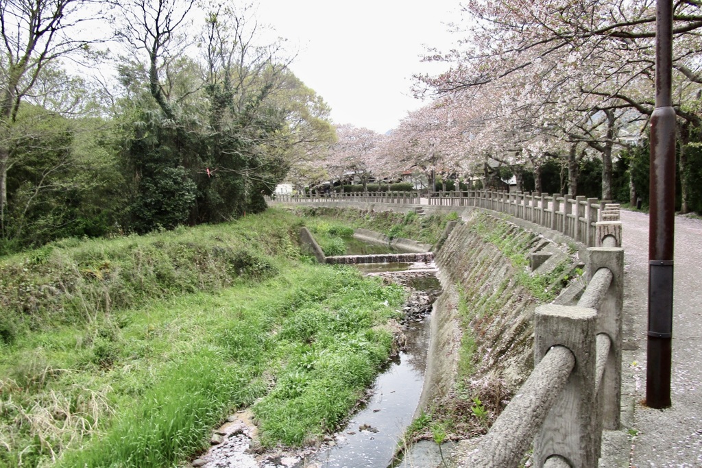 20180405萩市27