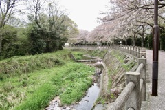 20180405萩市27