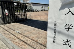 20240410左京区24