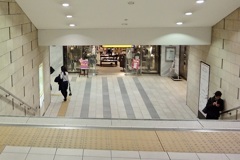 20101229大阪市中央区02