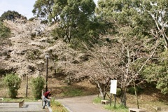 20070328朝倉市13