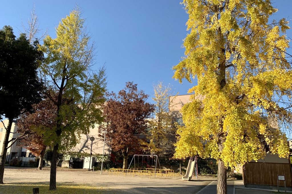 20191209下京区02