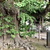 20201111千葉市中央区02