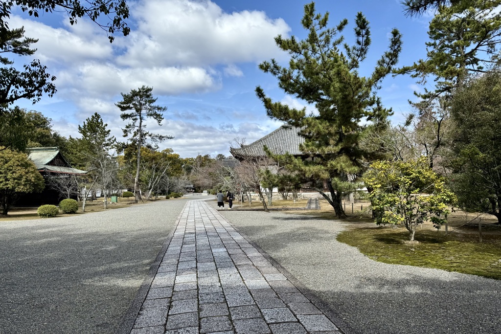 20240307右京区27