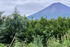 20190721富士河口湖町09