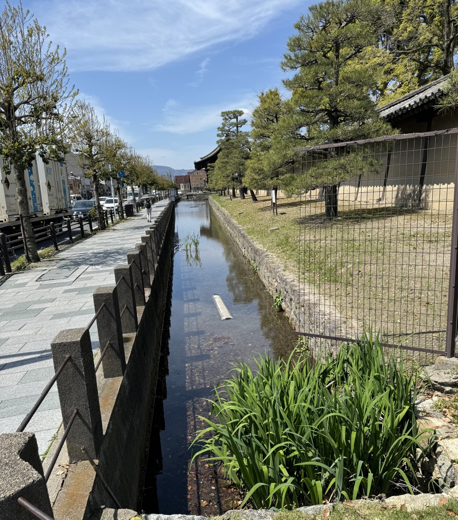 20240412京都市南区02