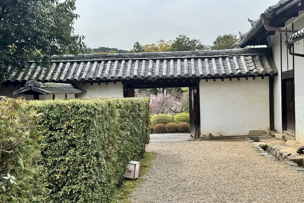 20240402山科区08
