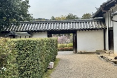 20240402山科区08
