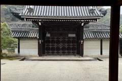 20240317東山区22