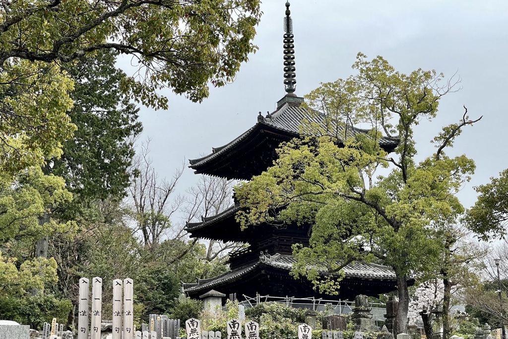 20230325左京区28