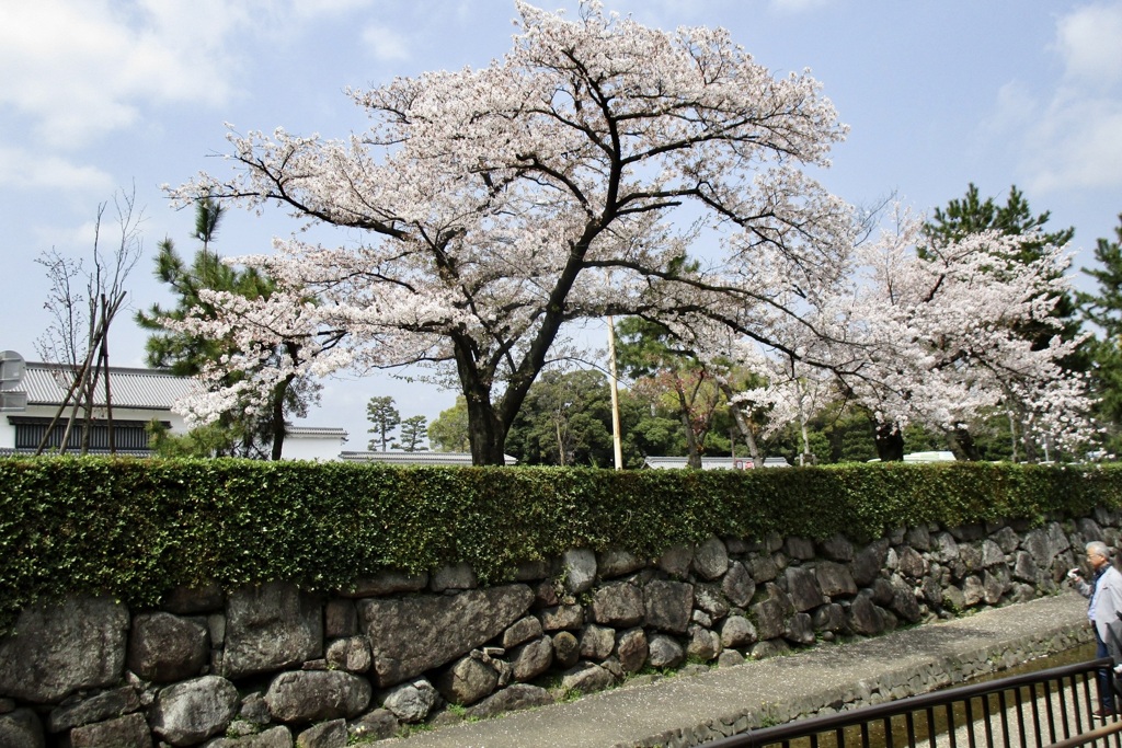 20180401中京区05