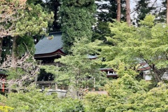 20240912遠野市16