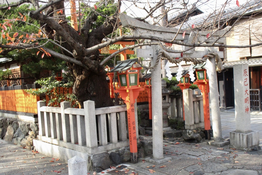 20181130東山区04