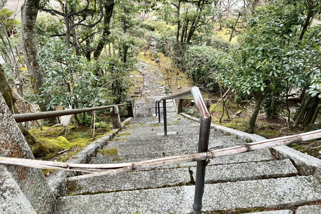 20240208右京区10