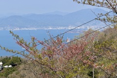 20250416江田島市17