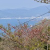 20250416江田島市17