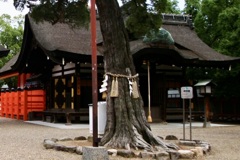 20090713大阪市住吉区17