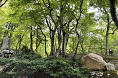 20210512大山町03