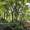20210512大山町03
