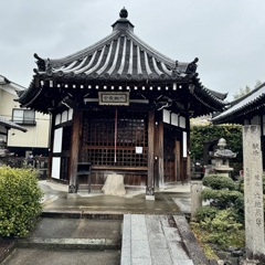 20240323伏見区03