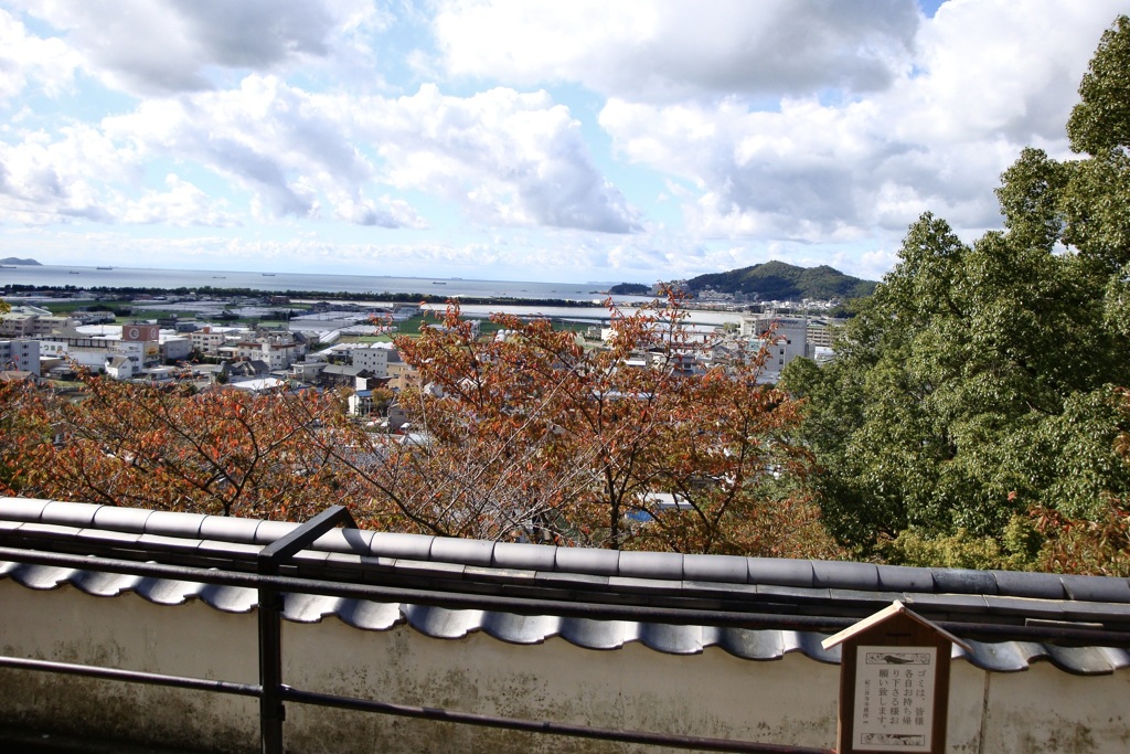 20091114和歌山市08