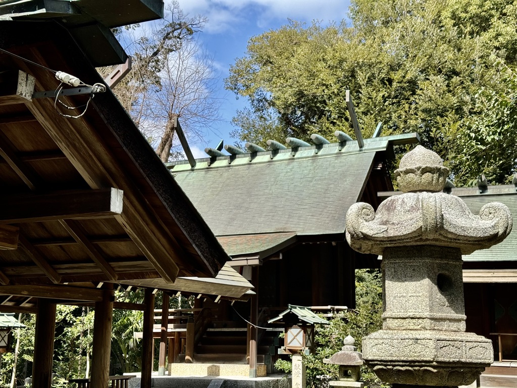 20240307右京区16