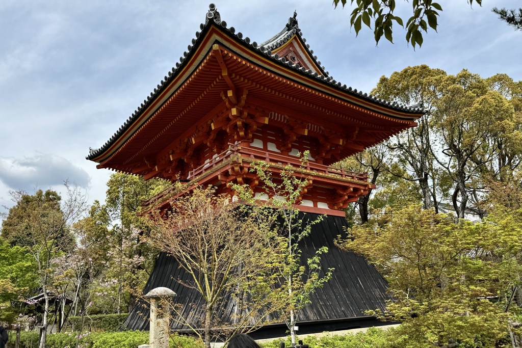 20240415右京区24