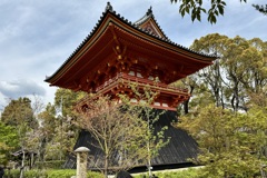 20240415右京区24