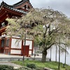 20190429箕面市01