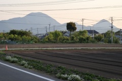 20090501宇佐市05