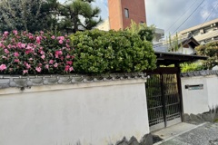 20241203松山市82