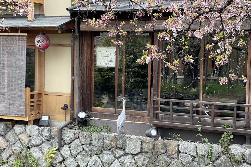 20230403東山区02