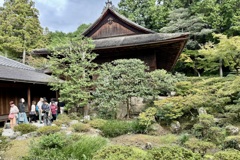 20241023左京区22