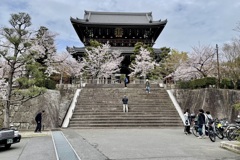 20230325左京区38