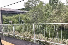 20230613占冠村04