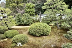 20240402山科区21