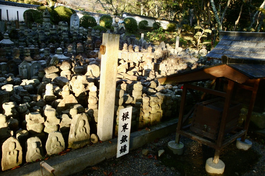 20091114岩出市11
